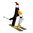 penguin ski md wht