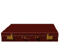 briefcase money lg clr