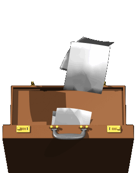 briefcase papers fly hg clr  st