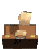 briefcase papers fly sm clr