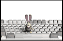 keyboard dust bunny jumping md wht