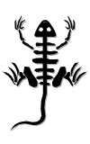tribal lizard shake md wht