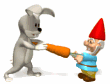 gnome rabbit tugging carrot md wht