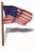 united states of america full fl md wht