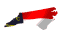 north carolina fp md wht