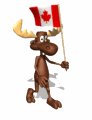 moose walking carrying flag md wht