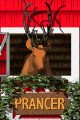 reindeer prancer md wht