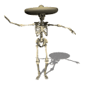 skeleton wearing sombrero md wht