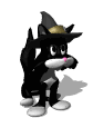 black cat hat md wht