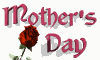 rose mothers day md wht