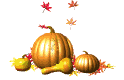 gourds falling leaves md wht