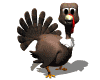turkey blink md wht