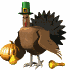 turkey look md wht
