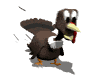 turkey running md wht