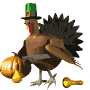 turkey with gun md wht