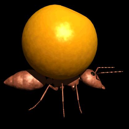 ant carry orange hg blk