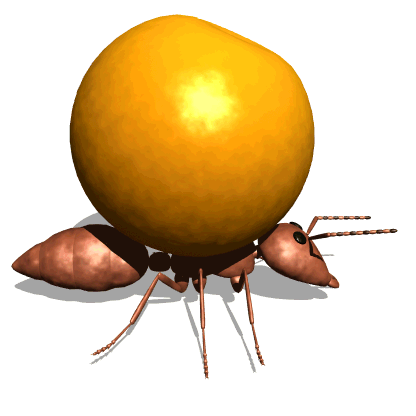 ant carry orange hg wht  st