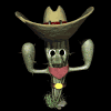 cactus dancing md blk