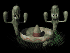 cactus mexican hat dance md blk