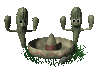 cactus mexican hat dance sm clr