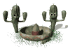 cactus mexican hat dance sm wht