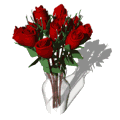 dozen red roses expand vase md wht