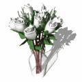 dozen white roses expand vase md wht