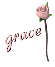 pink rose open meaning grace md wht