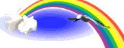 bird rainbow md wht