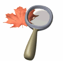 magnifying glass leaf md wht