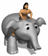 jungle man riding elephant md wht