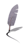 feather quill md wht