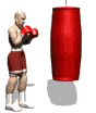 boxer punching bag md wht