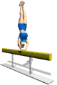 gymnast beam handstand md wht