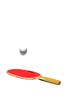 ping pong bounce md wht