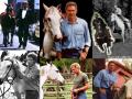 harrison ford 20