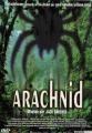 Arachnid