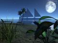 insectnightlife