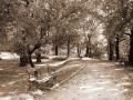 park2
