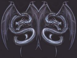 twin dragon