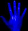 mano036