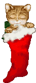 natale173