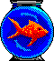 pesce002