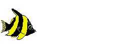 pesce062