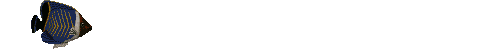pesce154