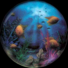 pesce198