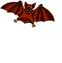 pipistrello013