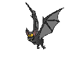 pipistrello024