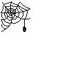 ragno010