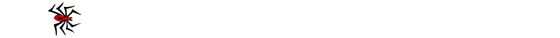 ragno016